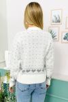 148021 Desenli Hirka